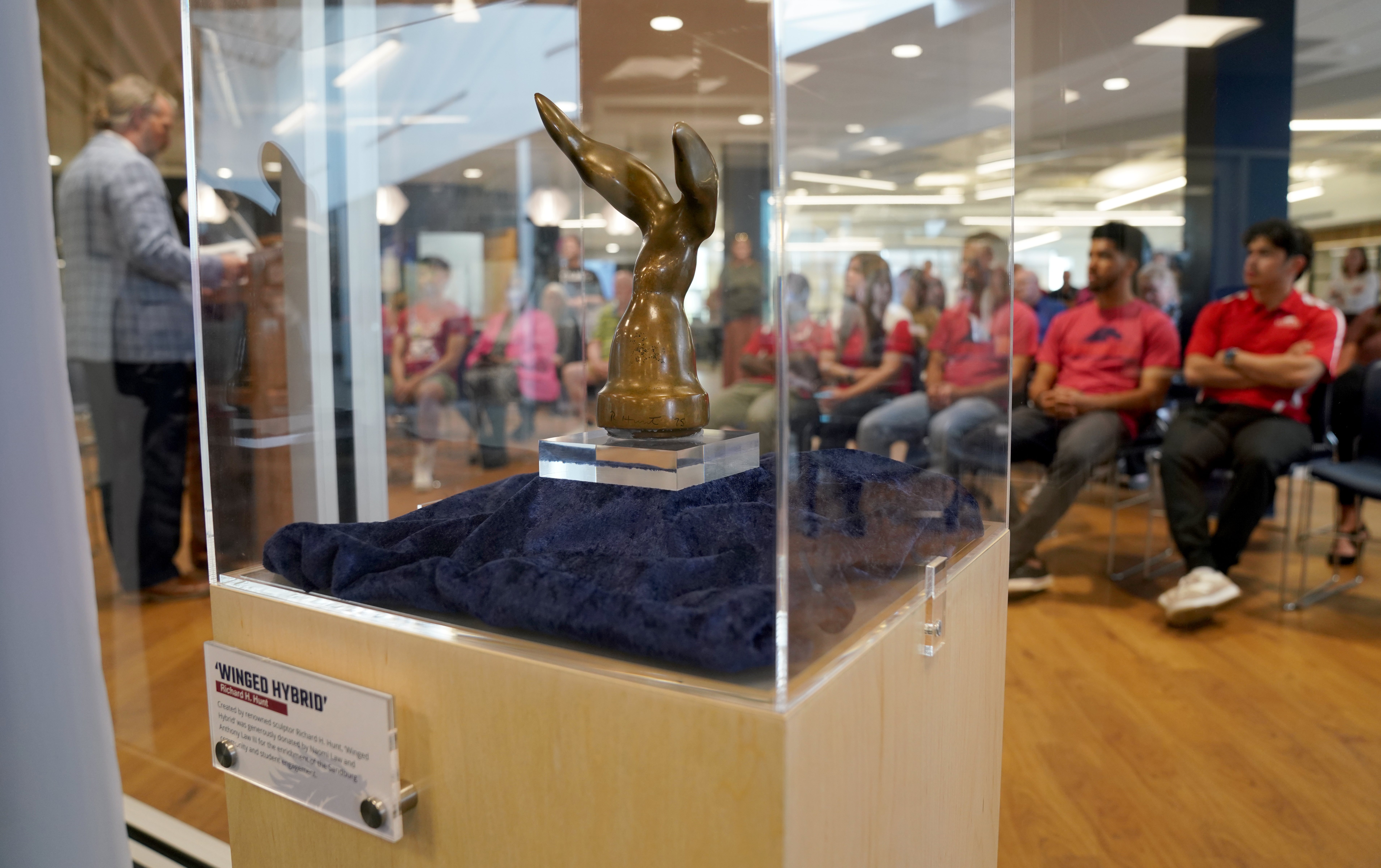 "Winged Hybrid" in display case