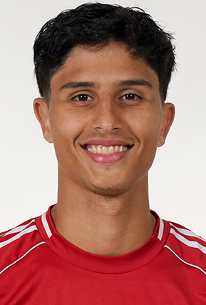 Theo Salim