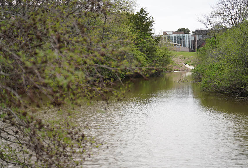 spring on Sandburg's campus with trees, Lake Storey and our buildings