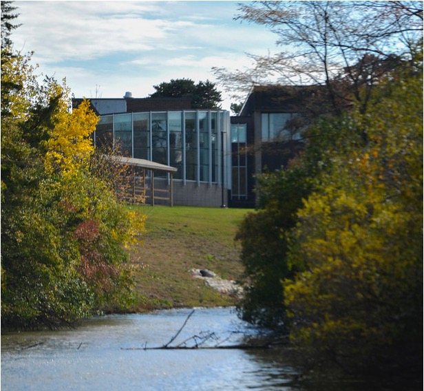 fall on Sandburg's campus with trees, Lake Storey and our buildings