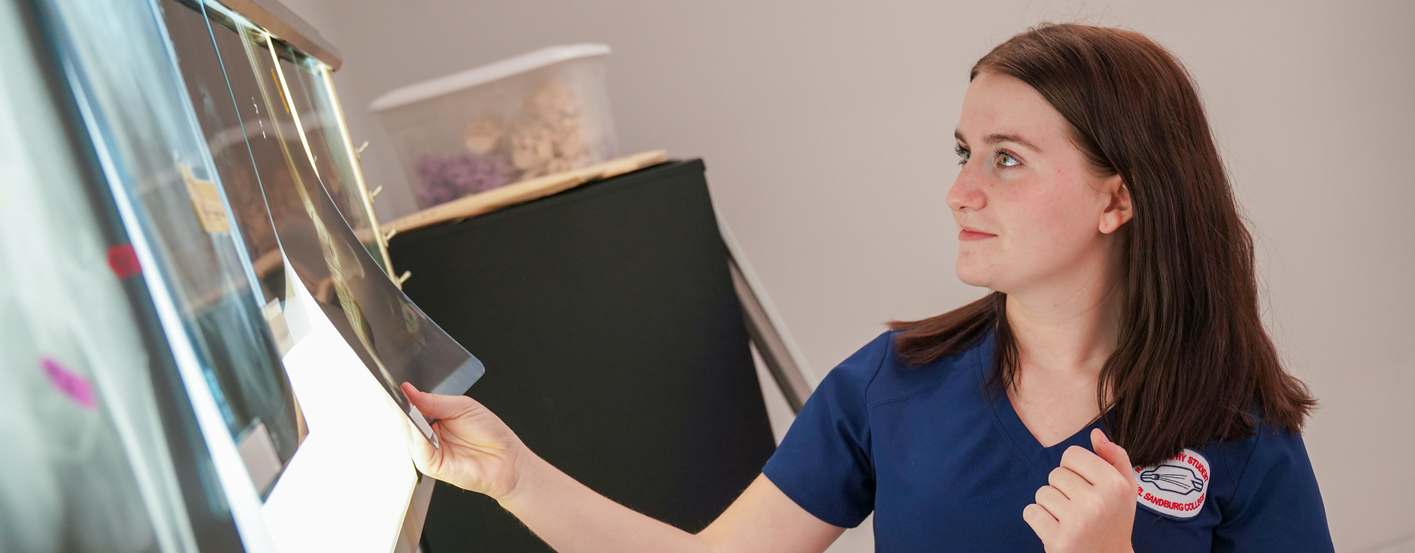 student looking at a x-ray on a light board.