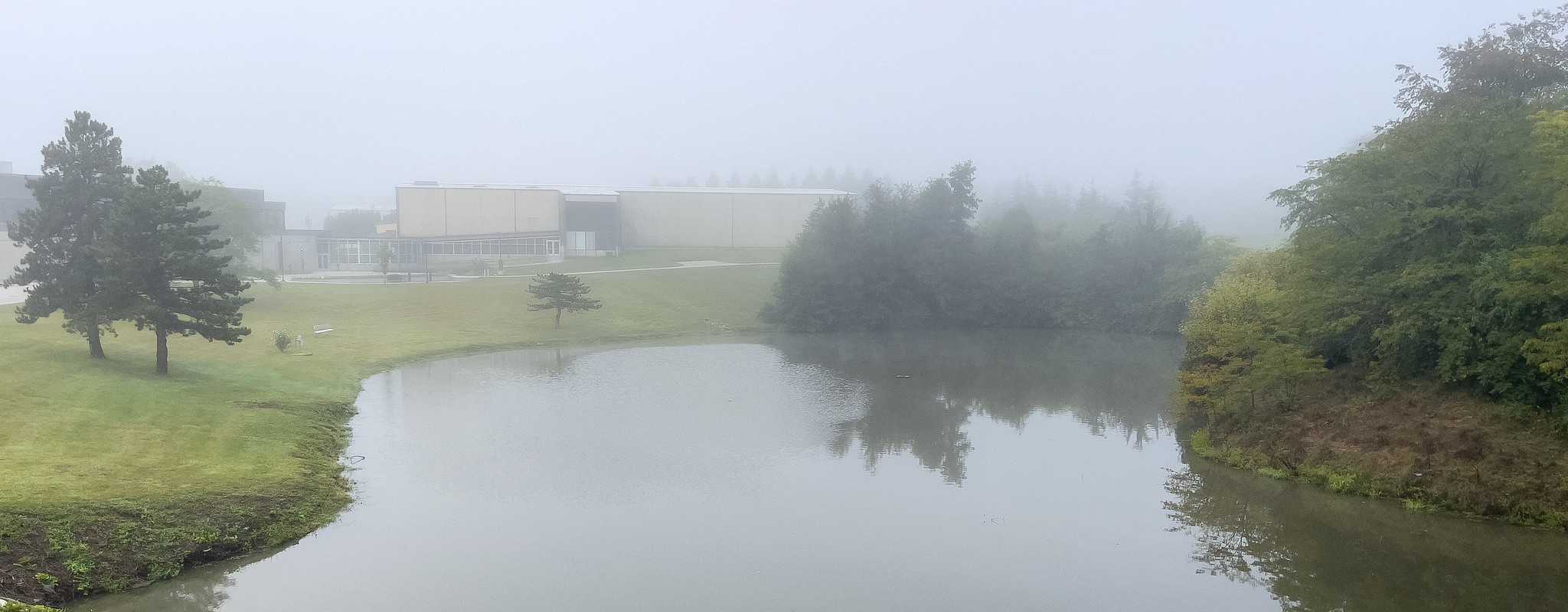 a view of campus with the pond in the foreground on a foggy day.