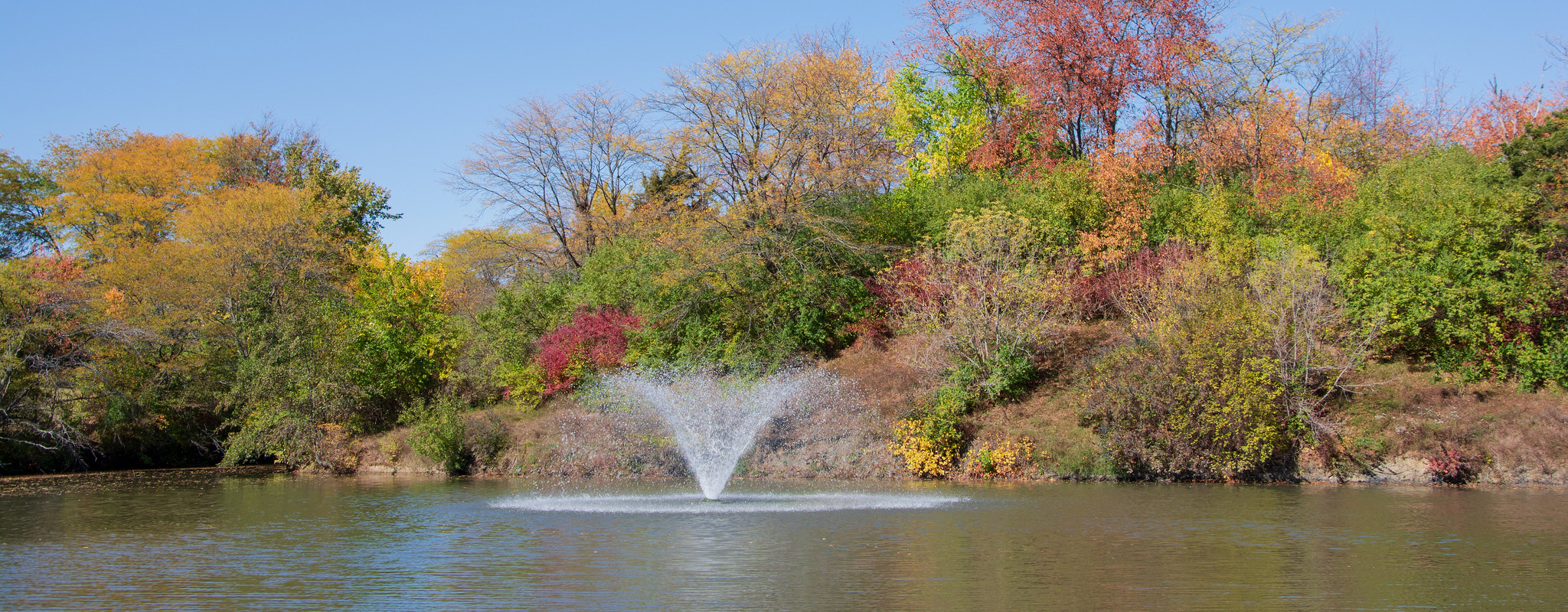 fountain in the pond on campus with trees turning yellow in fall.