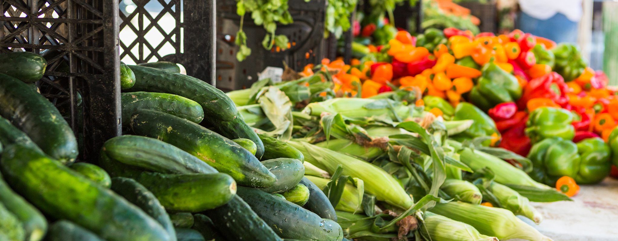 a farmers market table with cucumber, corn and peppers on it.