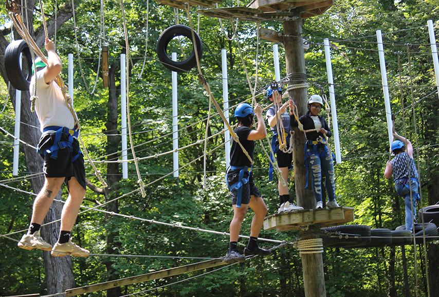 Program information.