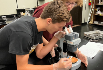 Two students using a microscope