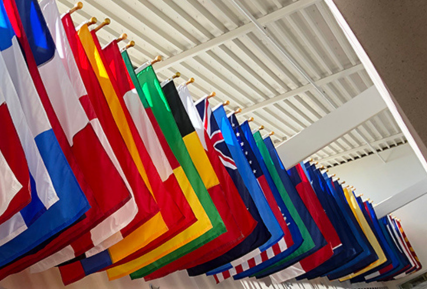 flags